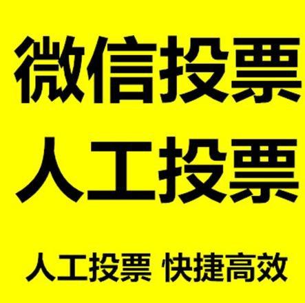 新竹县小程序微信拉票通过什么方式操作有哪些方法操作？